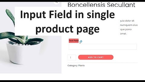 How to add input field in single product page in woocommerce | Text Box