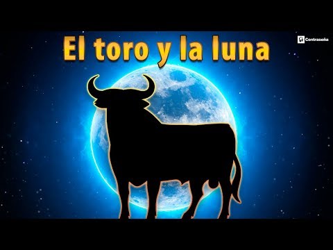 Vídeo: Mordido! (Una Y Otra Vez ) - Matador Network