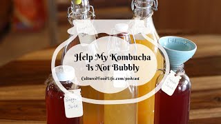 Podcast Episode 275: Help My Kombucha Is Not Bubbly