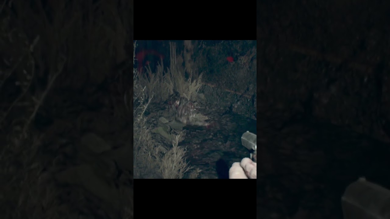 why did it gently turn around on its back 