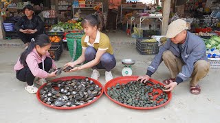 Harvesting mussels and snails to go to the market to sell | Free Bushcraft, Ep125