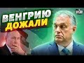 Рухнул последний оплот Путина: ЕС согласовал новую помощь Украине, Венгрия - за