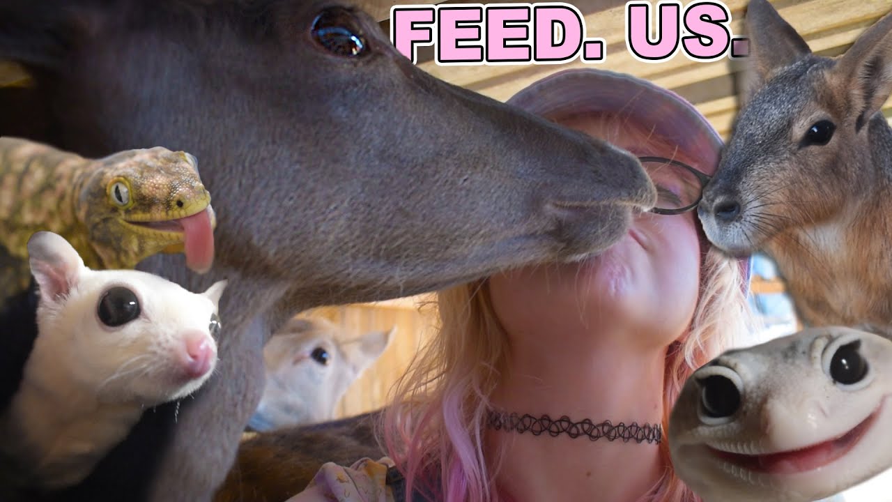 Latest Title & Thumbnail