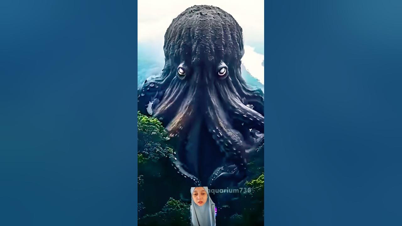 #octopus #ocean #wonderfulpet #animals #shorts #octopus #ocean #wonderfulpet #animals #shorts