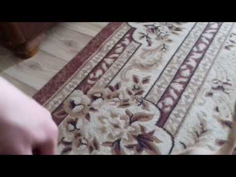 პოინტერი.