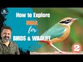 How to explore india for birds  wildlife part2