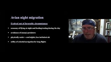 Tuning-in to nocturnal bird migration, 10-27-20