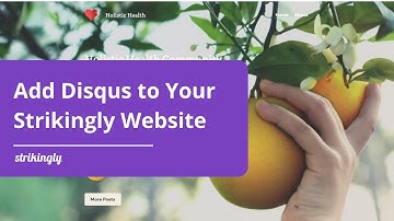 Adding Disqus to Your Strikingly Website
