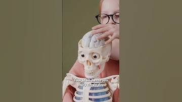Your Brain Is Lying to You