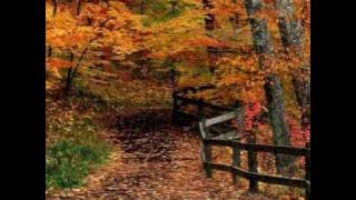 Toxica - Kaltas Ruduo