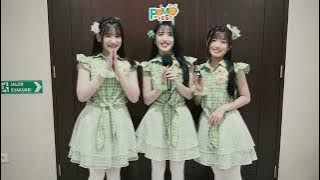 FOMO FEST Vol. 1 2024 - JKT48 | AFTERSHINE | THE JEBLOGS | KOHI SEKAI ETC | De Tjolomadoe, Solo