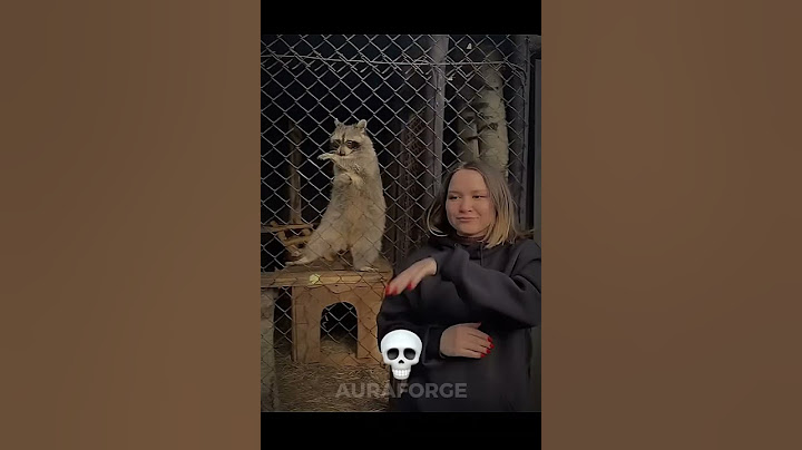Animals Can’t Dance💃