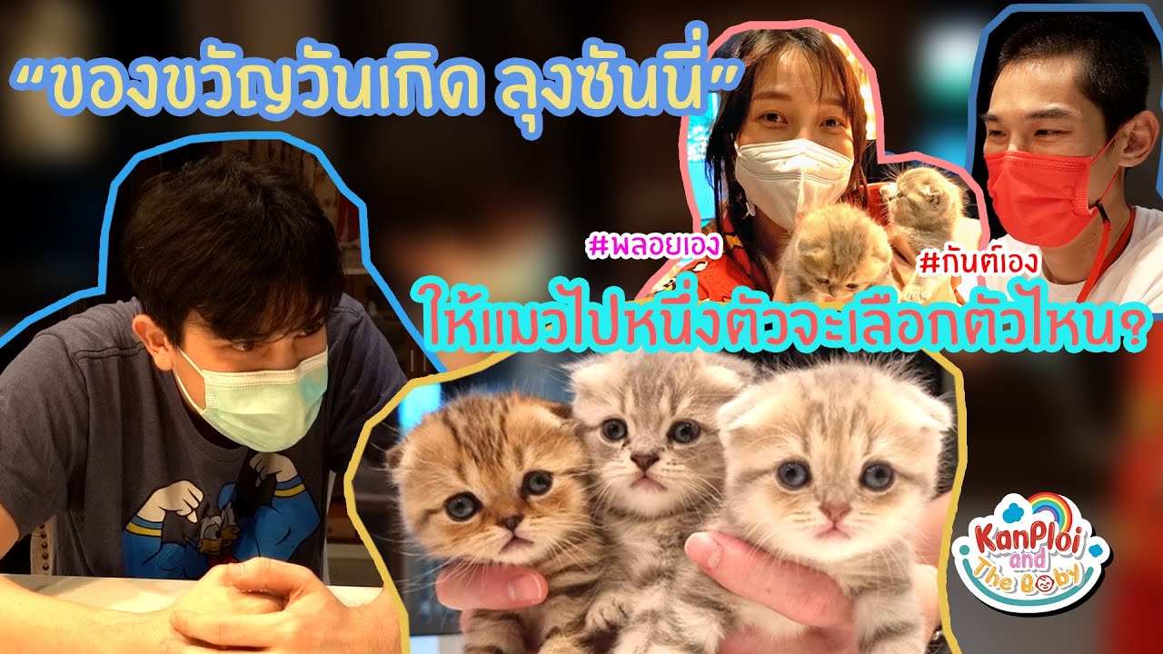 kanploiandthebaby - ให้แมวเป็นของขวัญวันเกิดลุงซันนี่