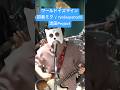 初音ミク『ワールドイズマイン/ryo(supercell)』をバンドで演奏してみた #shorts
