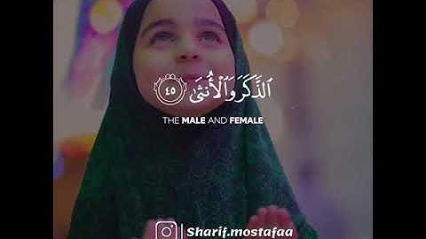 اجمل تلاوة من سورة النجم 💫❤️ شريف مصطفى حالات واتس