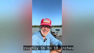 Difference between Fast and Extra Fast Action rods
