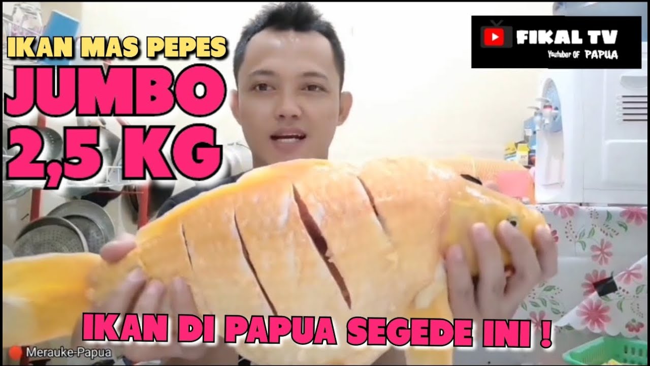 🔴MASAK IKAN MAS JUMBO 2,5 KG | BIKIN LAPER 😍