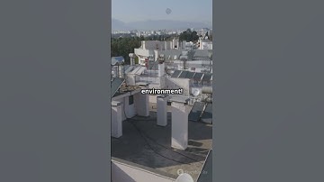 Microclimate Magic #sciencefather #researcher #environmentalscientist #SolarGreenRoofs #EcoFriendly