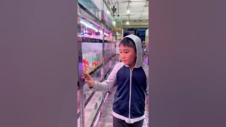 Đi mua cá về nuôi #bettasales #guppy #multibio #hocangoaitroi