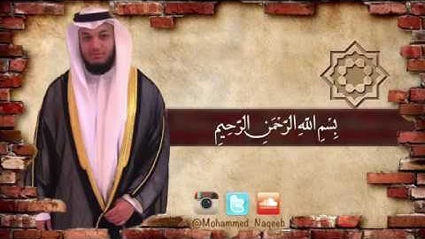اجمل صوت قرآن بصوت محمد النقيب (( سوره البقره ))