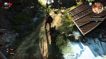 The Witcher 3: glitch island