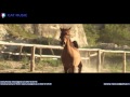 Andreea D - Magic Love (Official Video)