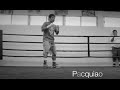 The Great Manny Pacquiao Highlights