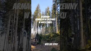 usuwamy #armageddon DRZEWNY + #mtb upalanko🌲🤘 | Butorowy Wierch |  #singletrail #mtbcommunity