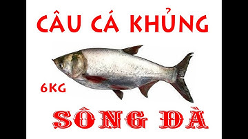 Câu Cá Sông Đà -Thủy Điện Hòa Bình