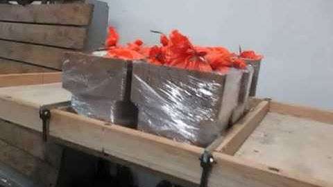 VIBRATION 3A RANDOM WITH TOP LOAD FACE 4