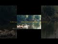 lucky edits