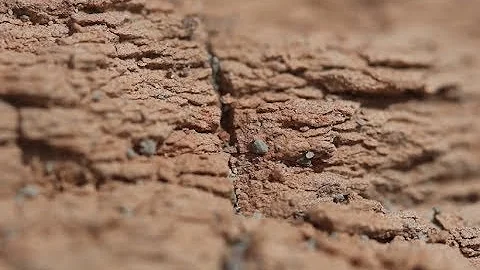 Chinese Scientists Start Excavating Large-scale Dinosaur Fossils - DayDayNews