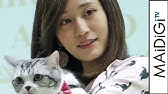 鈴木砂羽 猫の まとめ動画 Youtube
