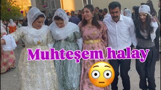 Halil Batmaz Düğünü Muhteşem Halay Şırnak Düğünleri