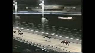 2003 TV TROPHY FINAL - ERICAS EQUITY