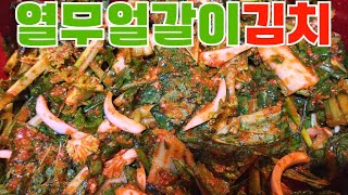 #열무얼갈이김치(Young Summer Radish and Winter Cabbage Kimchi)-#koreanfood #koreankimchi