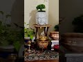 Decorate Your Space | Corner decoration #shorts #whatsappstatusvideo #status #homedecor #home #fy