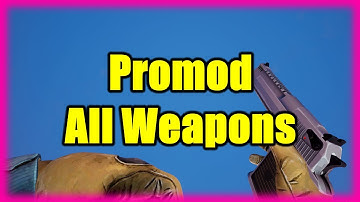 All Weapons In Promod