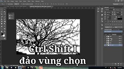 Mẹo Ps: Tách nền cực nhanh với Channels trong photoshop.