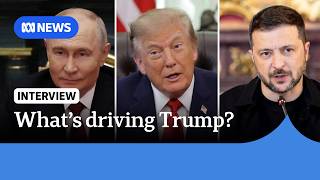 Domestic diesel prices driving Trump's decisions on Russia-Ukraine war: expert | ABC NEWS