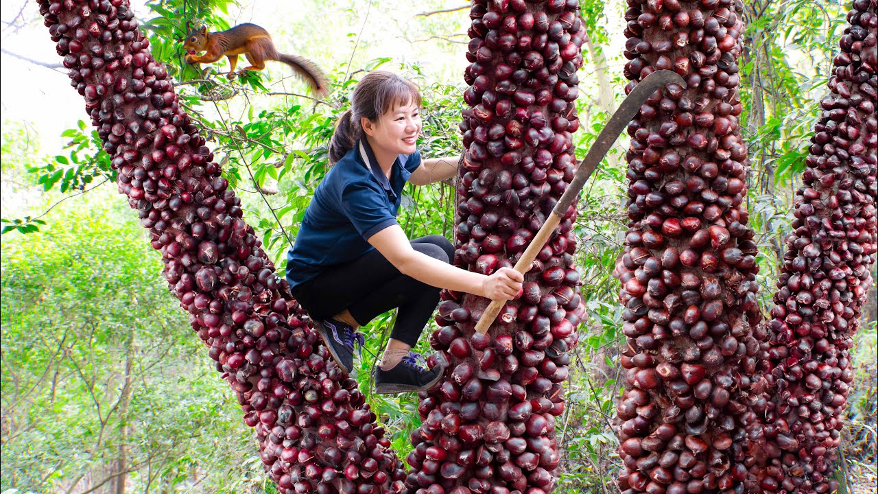 Harvest Black Jade Beads (Gift of nature) & Cook Black Jade Beads in bone stew Go to the market sell