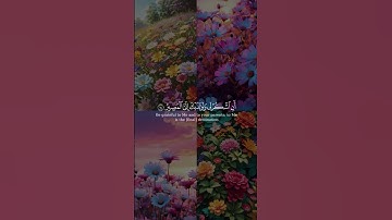 (ووصينا الإنسان بوالديه حملته)بصوت الشيخ#ياسر_الدوسري#سورة_لقمان