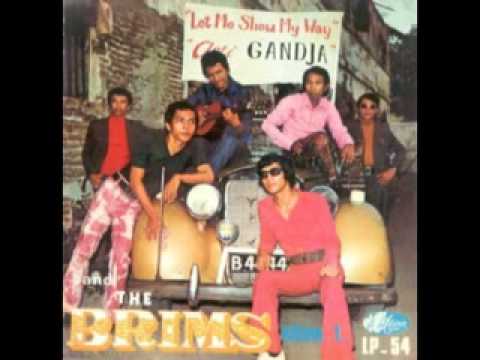 The Brims - Anti Gandja