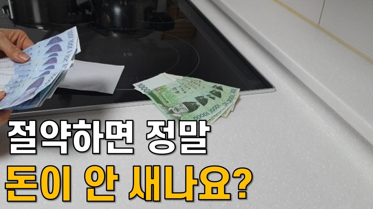 절약해도 돈이 없다니 절약 살림방식을 바꿨어요, 미니멀라이프