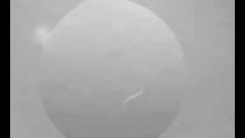 C. elegans nematode gait transitions