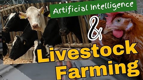 Smart Farms: AI’s Game-Changing Role in Livestock Health & Precision Feeding