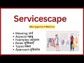 Servicescape  meaning aspects roles examples types approaches