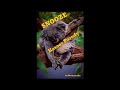 Snooze  kasoor parody shantanu jha