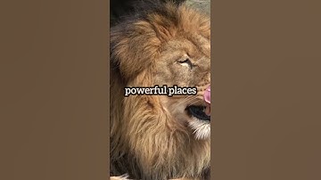 😎MAN BECOME👿POWERFUL.../sigma rule/ motivation #shorts #sigmarule #quotes #billionaire #sigmastatus