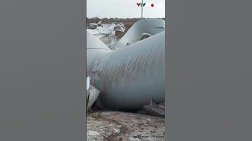 Sự cố gãy tua-bin điện gió ở Bạc Liêu gây thiệt hại khoảng 200 tỷ đồng. #diengio #vtvmoney #kinhte